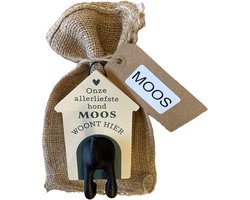 Hondenriemhouder-Moos-in leuk kado verpakking-15cmx10cm-woonaccessoires-hondengarderobe-kapstok voor honden-kado idee voor hondenbezitters-haak voor hondenriem