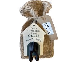 Hondenriemhouder-Ollie-in leuk kado verpakking-15cmx10cm-woonaccessoires-hondengarderobe-kapstok voor honden-kado idee voor hondenbezitters-haak voor hondenriem