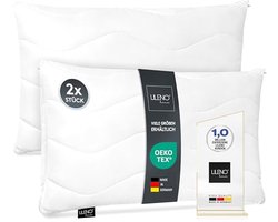 Hoofdkussen 40 x 60 cm - Set van 2, wasbaar en aanpasbaar, ideaal voor bed en bank