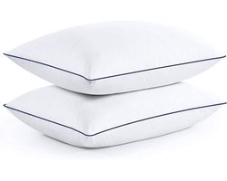 Hoofdkussen Set van 2 – 40x70 cm – Medium Kussen voor Rug-, Zij- en Buikslapers – Katoenen Hoes – Machine wasbaar