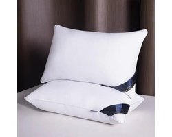 Hoofdkussen - Set van 2 - 60x40 CM - Ademend Slaapkussen met Zachte Microvezel Hoes - Hotelkwaliteit & Ergonomisch Comfort -Hotel Kussen - Pillow - Voor Zij-, Buik- en Rugslapers