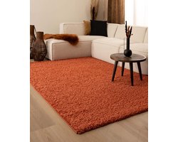 Hoogpolig vloerkleed - Shaggy Trend terracotta 200x300