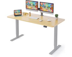 Hoogte Verstelbaar Bureau 160 x 80 cm - Elektrisch Bureau met 4 LED Geheugen Controle - Zit & Sta Bureau