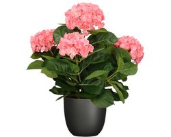 Hortensia kunstplant/kunstbloemen 45 cm - roze - in pot zwart mat - Kunst kamerplant
