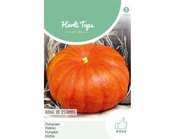 Hortitops Zaden - Pompoenen Rode van Etampes