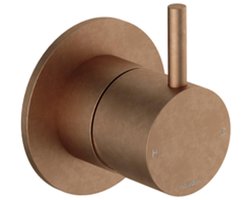 Hotbath Cobber Afbouwdeel - voor douche mengkraan - Living colours - Verouderd Messing