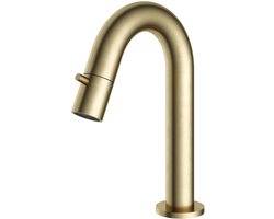 Hotbath Cobber Fonteinkraan - Opbouw - Uitvoering BB - Geborsteld Messing PVD - Messing - 193 mm - Waterbesparend