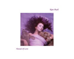 Hounds of Love