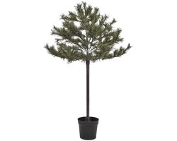 House Doctor Kerstboom Peuce natuur 150cm