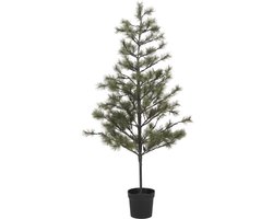 House Doctor Kerstboom Peuce natuur 180cm