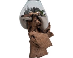 House Nordic - Decoratie Teakhout & Glas - San Marino 50cm