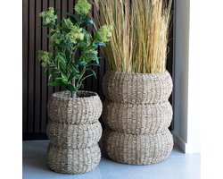 House Nordic - Set/2 Sarbas Manden - Seagrass - Natuur