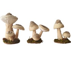 House of Seasons Decoratieve beeld paddenstoelen Set van 3 creme kleur , de grootste maat is L15xB11,5xH17cm