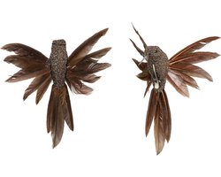 House of Seasons Kolibries vogels op clip - 2x st - bruin - 12 x 13 x 7,5 cm