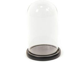 Housevitamin Glazen Stolp met Zwart Houten Plateau Ø14 x 23 cm – Decoratieve Glazen Stolp – Glazen Display Stolp – Vitrinestolp – Woondecoratie