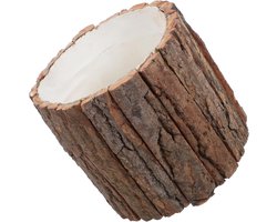 Houten Bloembak - Boomstronk Pot - Planten Decoratie - Ademend Hout - 17 x 17 x 15 cm - Koffie