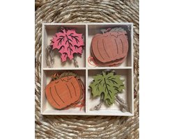 Houten Herfst figuren incl. touw - Herfstdecoratie - Labels - Cadeau versiering - Autumn - Hangers - Tak | Decoratie hout Herfsttakken - Hanger - Versiering - Kalebas - Bladeren - Eikenblad | Peuterspeelzaal - School - Kinderopvang - DH collection