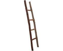 Houten Ladder - Decoratieve Plank - Handdoeken Opbergen - Stabiel Zonder Bevestiging - 150 cm Hoog - Multicolor
