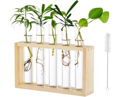 Houten Muur Plantenbak - Natuurlijke Decoratie - 1 stuk - Hout en Glas
