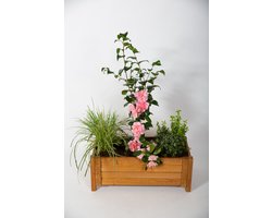 Houten Plantenbak rechthoek