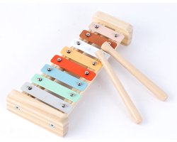Houten xylofoon met noten metalofoon in kistje