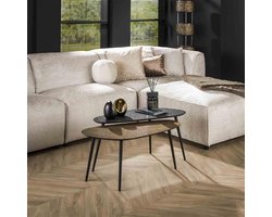 Hoyz - Salontafel Metallic Niervormig - Grijs - Set van 2