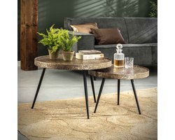 Hoyz - Salontafel Rond Metallic - Goudkleurig - Set van 2