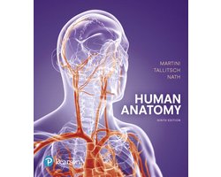 Human Anatomy