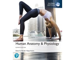Human Anatomy & Physiology, Global Edition
