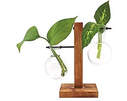 Hydro Vaas Set met Houten Stand | 2 Glazen Vazen voor Tafel | Moderne Planten Decoratie en Kweekstation