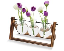 Hydrocultuur glazen vaas met houten standaard - 3 stuks voor plantenvermeerdering en decoratie