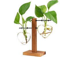 Hydrocultuur Plantenbak Houten Standaard met Glazen Vazen voor Stekken en Kantoor