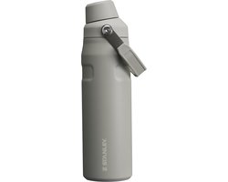 IceFlow™ Bottle Fast Flow | 0.71L - Ash 2.0