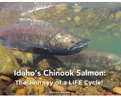 Idaho's Chinook Salmon