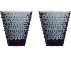 Iittala Kastehelmi - Tumbler Glazen Set - Waterglas - Vaatwasserbestendig - Donkergrijs - 30 cl - 2 Stuks