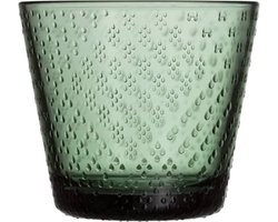 Iittala Oiva Toikka Tundra glas 29cl set van 2 pine green