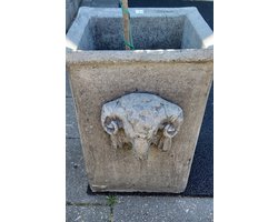 Il cupido| bloembak beton|plantenbak beton| vorstvrij| bloembak met ramskop| plantenbak met ramskop