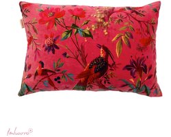 Imbarro - Sierkussen - Kussen - Cerise - Donkerroze - Paradise - 40x60cm -