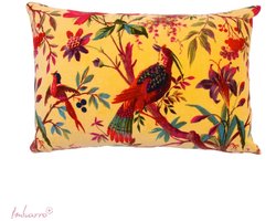 Imbarro - Sierkussen - Kussen - Honey - Geel - Paradise - 40x60cm -