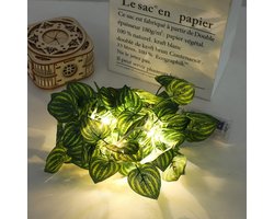 Imitatie wilgenblad lamp solar model, imitatie groene rotan lamp, koperdraad imitatie groene rotan lamp, imitatie buiten waterdichte binnenplaats balkon decoratieve lamp, 5m 50 lampen, stijl 3