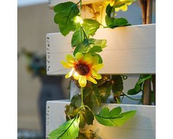 Imitatie wilgenblad lamp solar model, imitatie groene rotan lamp, koperdraad imitatie groene rotan lamp, imitatie buiten waterdichte binnenplaats balkon decoratieve lamp, 20 meter 20 lampen, stijl 5