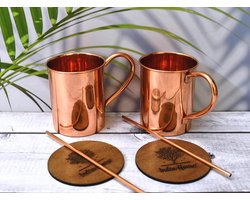India House - Moscow Mule Cup Set, 16 oz | Cocktail Cup Set | 100% Koper | Koperen Glazen | Feestcadeau (zuiver koper, gladde afwerking, set van 2 mokken (2 onderzetters, 2 rietjes gratis)