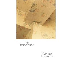 Indringend Roman over Levenslankse Zoektocht