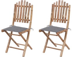 Inklapbare tuinstoelen - Zetels voor buiten - Genieten van de tuin - Inclusief kussens - 2 stuks - Niet gespecificeerd