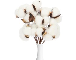 Inovra - Decoratieve katoenen takken, 10 stuks witte tak picks, kunstmatige tak, kunstplant voor thuis, vaas decoratie en paasdecoratie