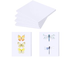 Insecten Display Bord, 25 x 16 x 1 cm, Wit, EVA Schuim, Voor Vlinders en Insecten, Ideaal voor Biologie Projecten, Onderwijs en Hobby's, Verpakking van 6 Stuks