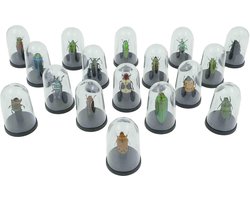 Insecten in mini stolp