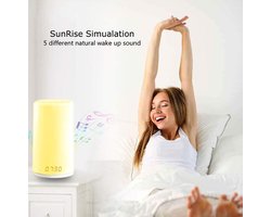 Intelligente Sleep tafellamp met Wake up wekker en nachtlamp - 6 soorten natuurlijke Ringtones