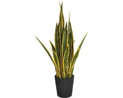 Intergard Kunstplanten Sansevieria vrouwentong 105cm bicolor