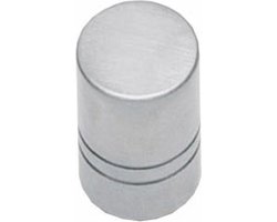 Intersteel Meubelknop ø 13 mm rvs geborsteld